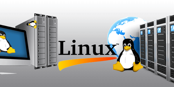 linux vps hosting