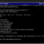 attrib command