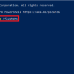Flush DNS Cache
